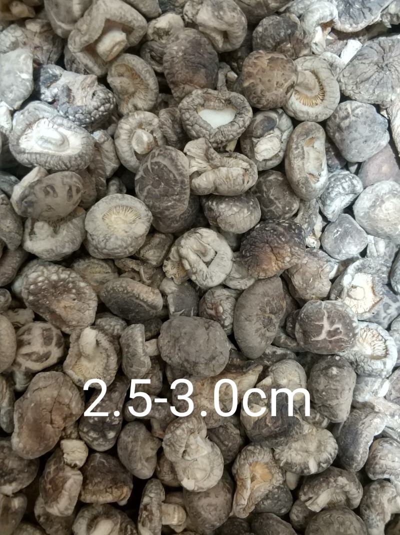 【随州干香菇/冬菇】品种齐全剪脚厚肉农家特产