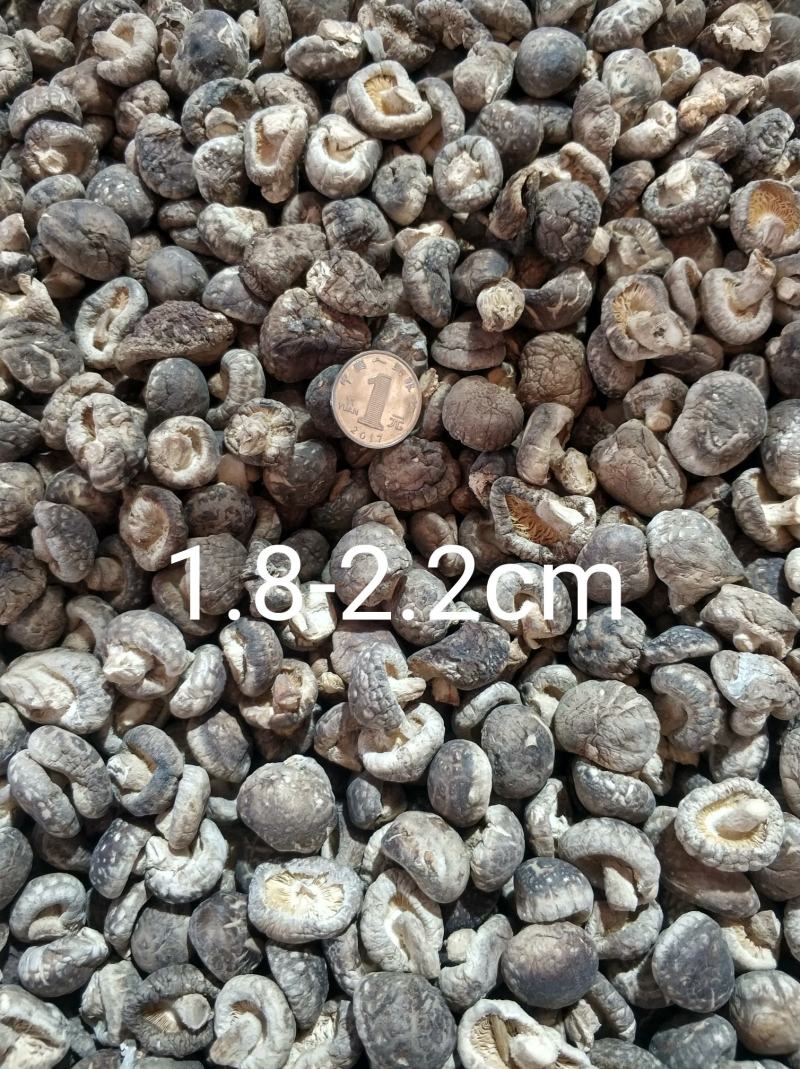 【随州干香菇/冬菇】品种齐全剪脚厚肉农家特产