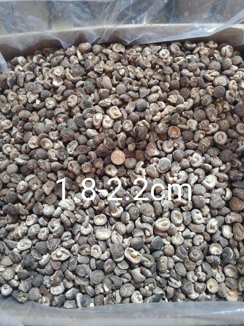 【随州干香菇/冬菇】品种齐全剪脚厚肉农家特产