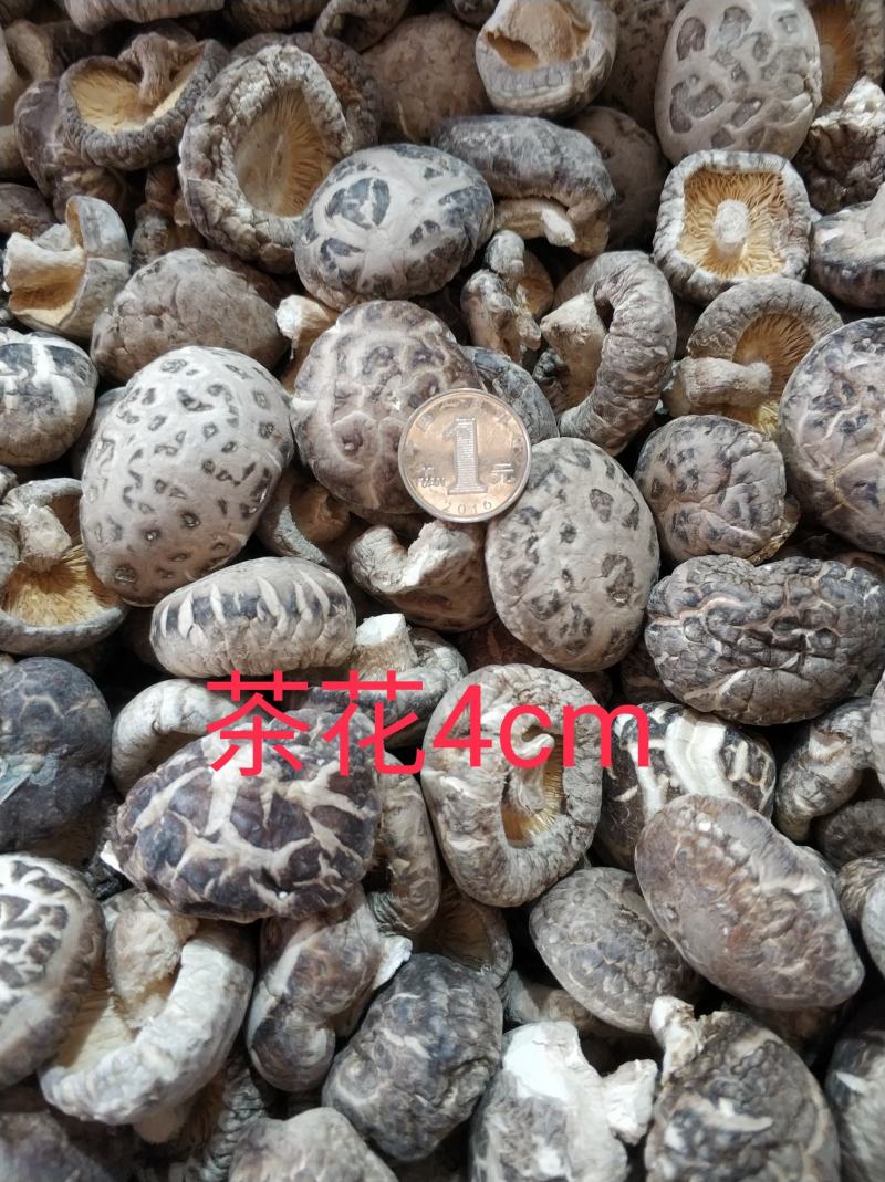 【随州干香菇】冬菇茶花品种齐全剪脚肉厚味香农家特产