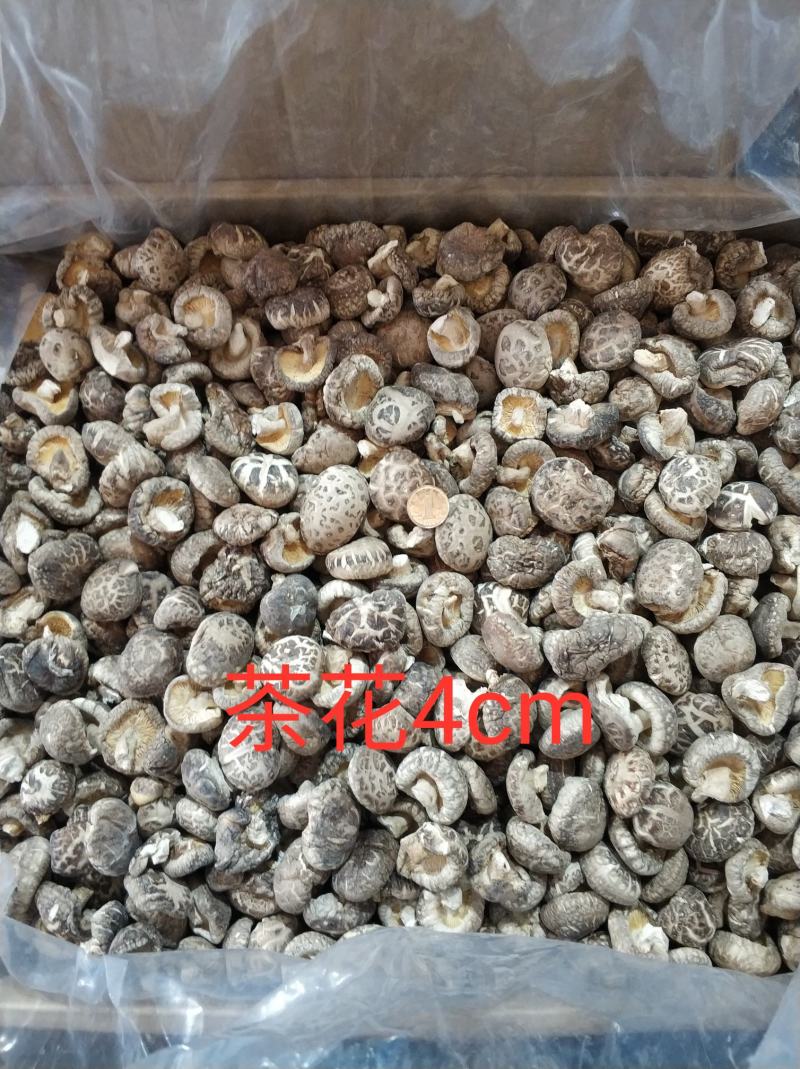 【随州干香菇】冬菇茶花品种齐全剪脚肉厚味香农家特产