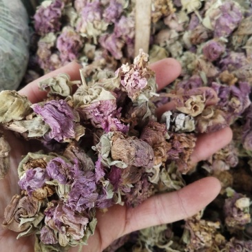 中药材芙蓉花，专业各种中药材批发，零售价格实惠