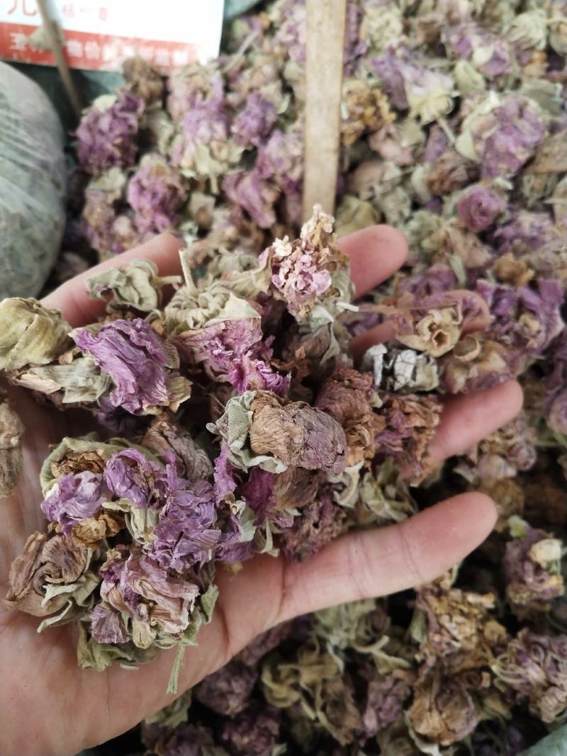 中药材芙蓉花，专业各种中药材批发，零售价格实惠