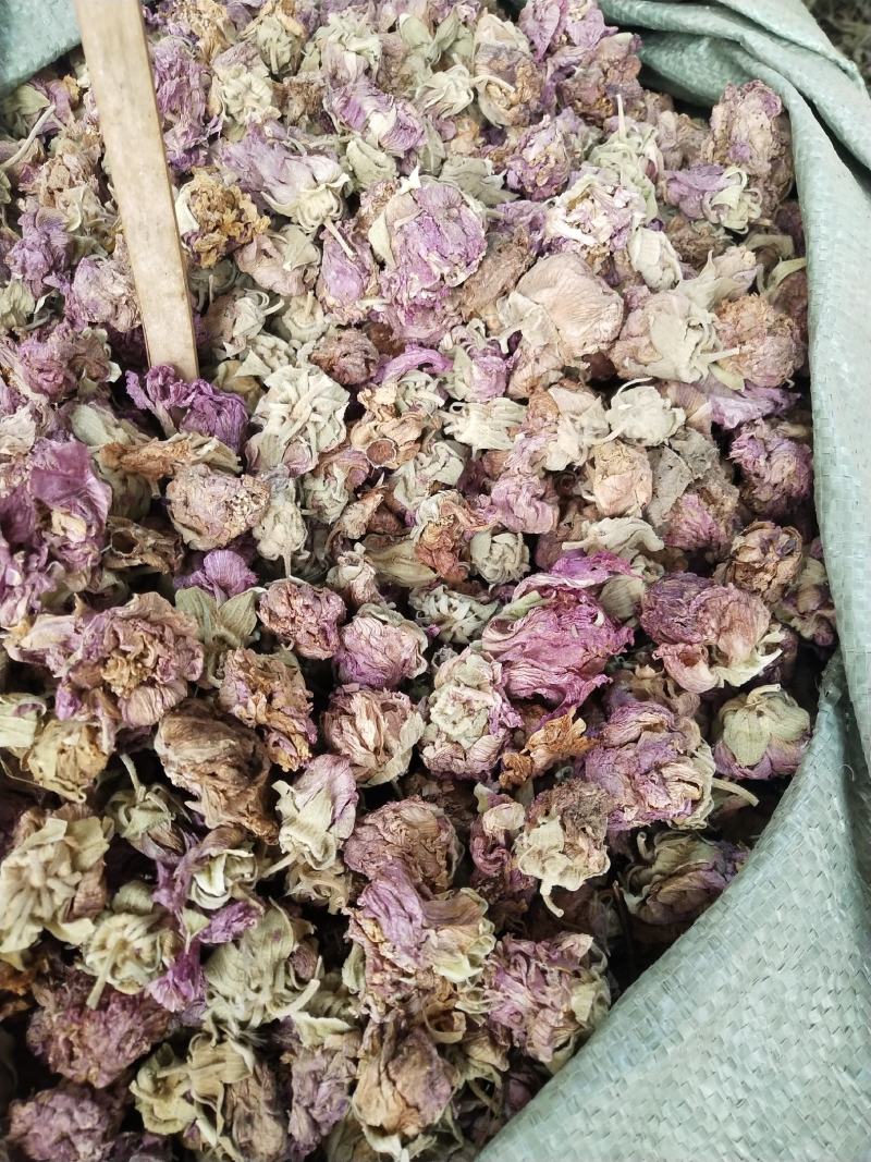 中药材芙蓉花，专业各种中药材批发，零售价格实惠