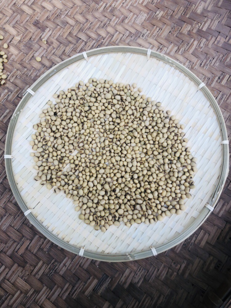 黄豆批发量大从优/产地直发/一手货源/诚信经营
