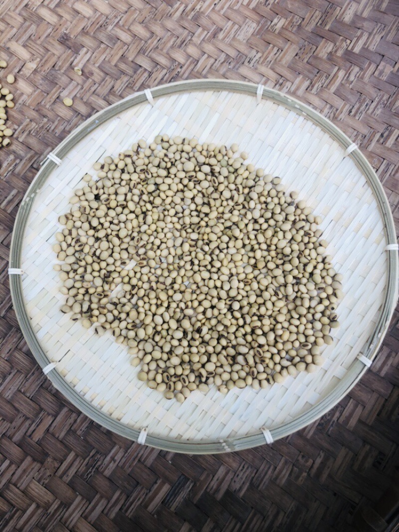 黄豆批发量大从优/产地直发/一手货源/诚信经营
