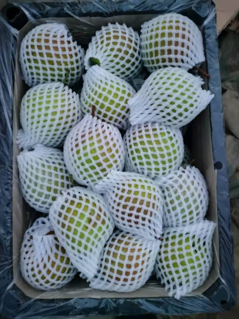 万荣玉露香梨。，量大从优，可供超市。价格合理，需要联系