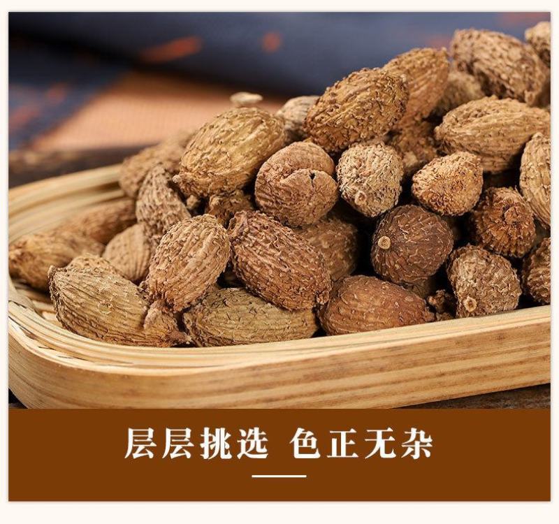 砂仁阳春砂仁调味香料调味品火锅底料广东福建云南源产地批发