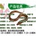 【养殖包销稻田养殖】优质黄鳝苗花鳝苗黄鳝鱼苗