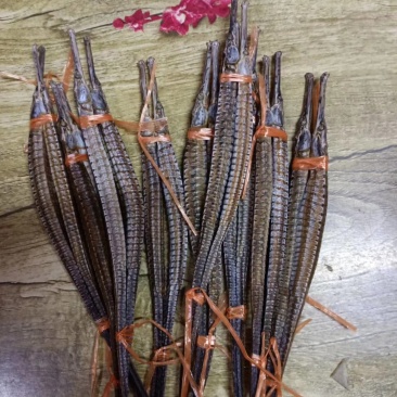 实物拍摄，六角大海龙（300头）可泡酒可煲汤