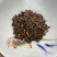 普洱茶特级宫廷茶118元一饼高等级性价比超高口感好