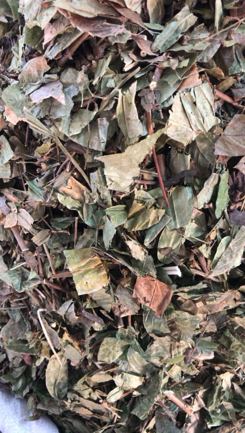 葫芦茶葫芦茶一公斤起发支持线上交易量大从优