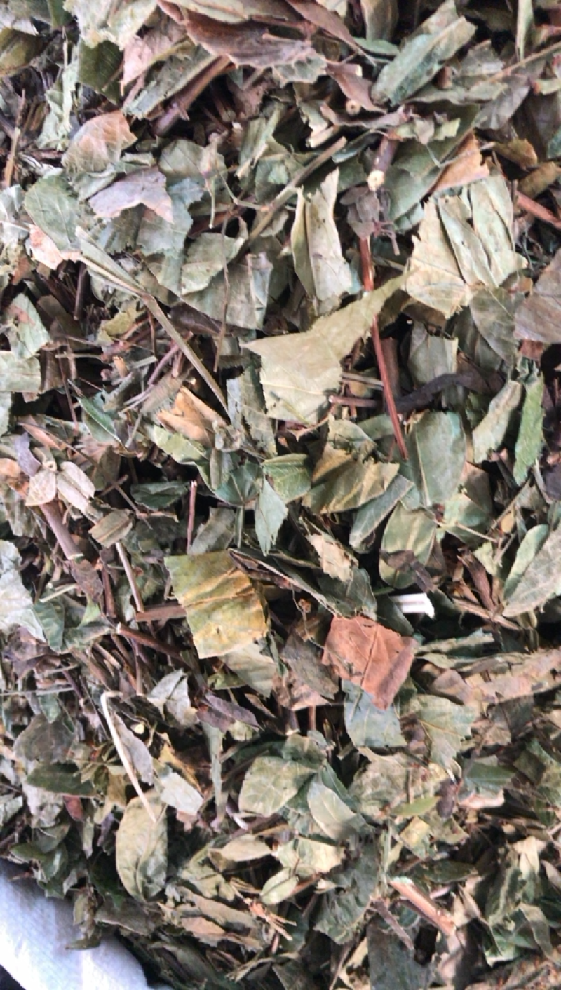 葫芦茶葫芦茶一公斤起发支持线上交易量大从优