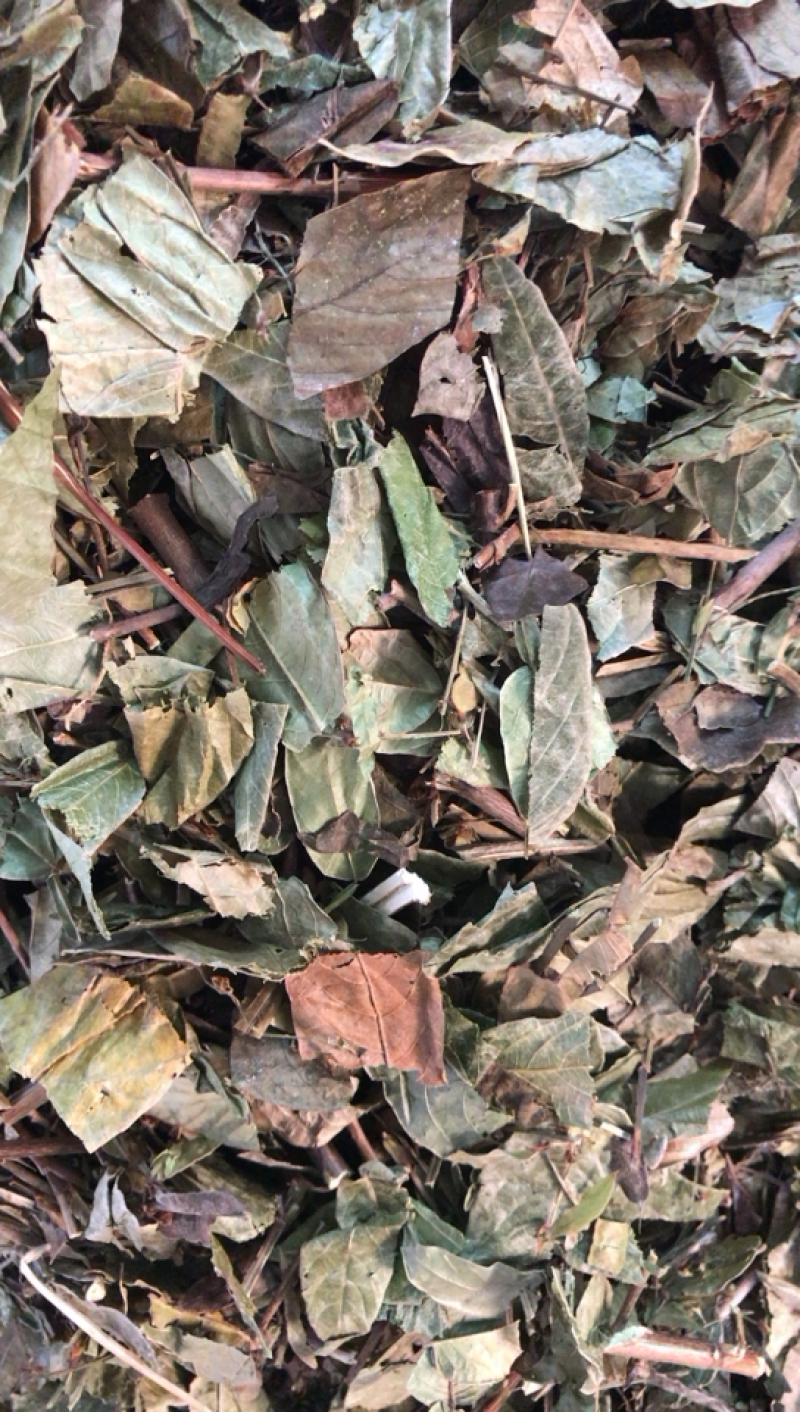 葫芦茶葫芦茶一公斤起发支持线上交易量大从优