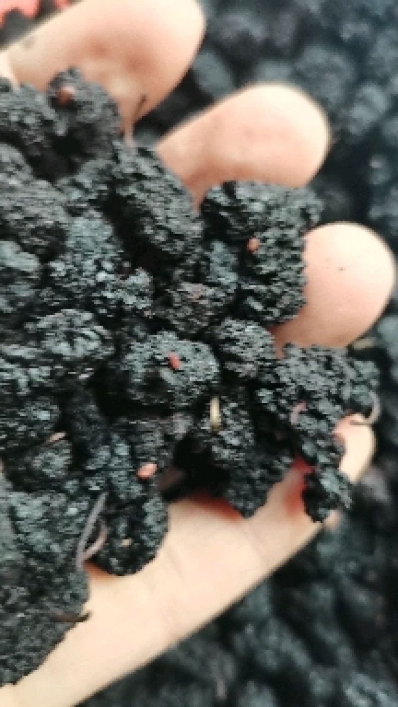桑葚子选货食用大桑椹好货产地直销泡茶泡酒药用