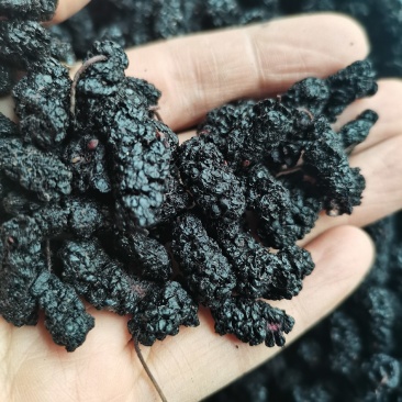 桑葚子选货食用大桑椹好货产地直销泡茶泡酒药用
