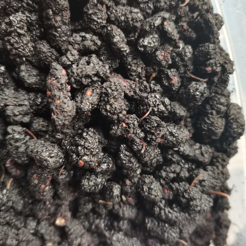 桑葚子选货食用大桑椹好货产地直销泡茶泡酒药用