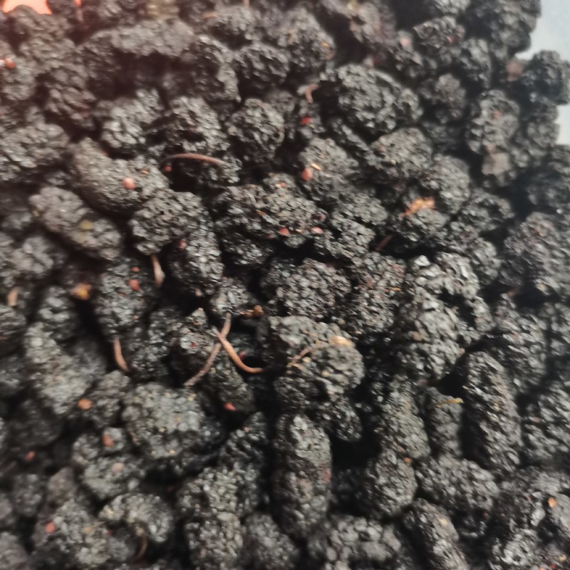 桑葚子选货食用大桑椹好货产地直销泡茶泡酒药用