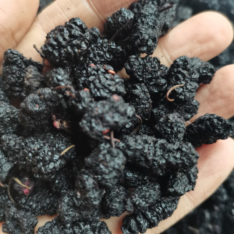 桑葚子选货食用大桑椹好货产地直销泡茶泡酒药用