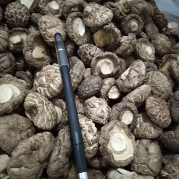 河南内乡山城小镇干香菇，菇乡菇香，产区直供，放心购。