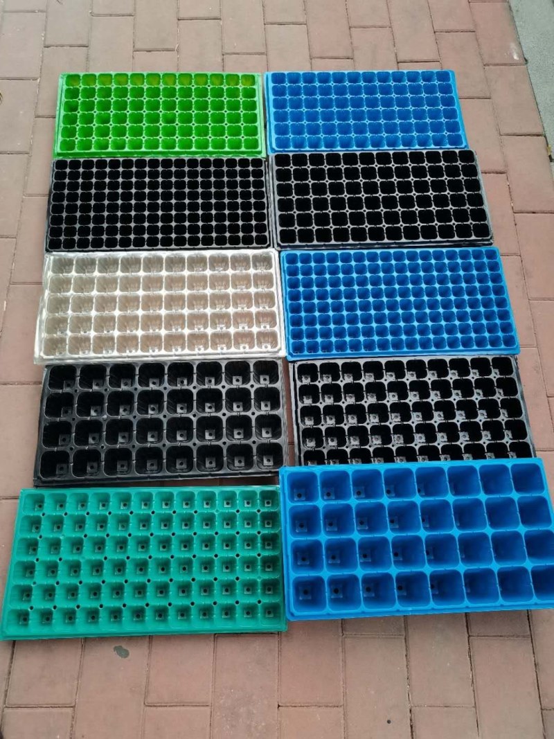pet育苗穴盘抗老化耐高温材料，厂家直销，一手货源