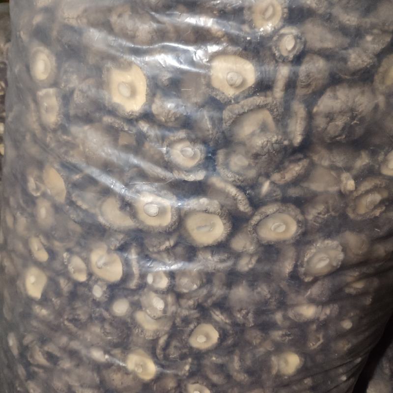 西峡香菇干货2022年新货精选无根肉厚面菇小香菇产地直发