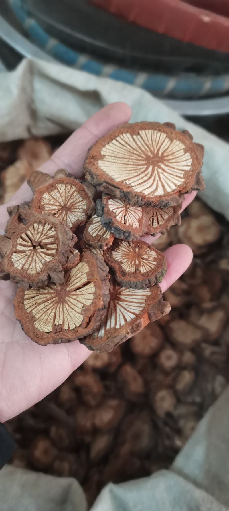 红藤血藤大血通红藤片血塞通各种中药材