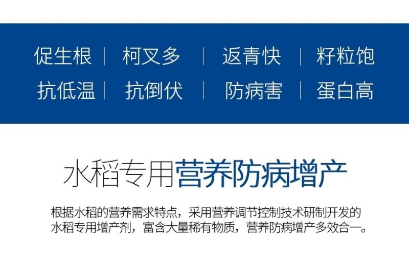 稻丰源硅肥水稻专用促生根柯杈多返青快籽粒饱抗倒伏