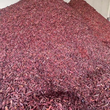 精品干辣椒，脱把，精选，半成品，质量上乘