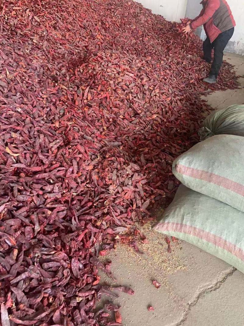 精品干辣椒，脱把，精选，半成品，质量上乘