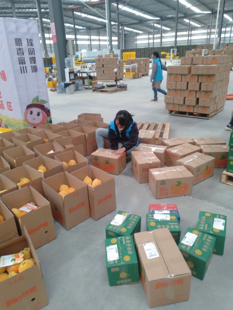 脐橙～富川脐橙之乡～纽荷尔脐~华脐7904