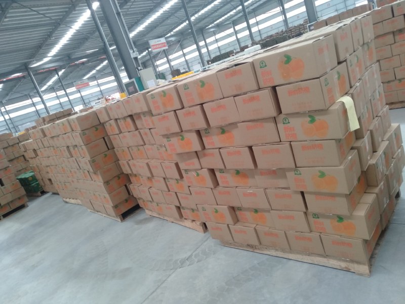 脐橙～富川脐橙之乡～纽荷尔脐~华脐7904