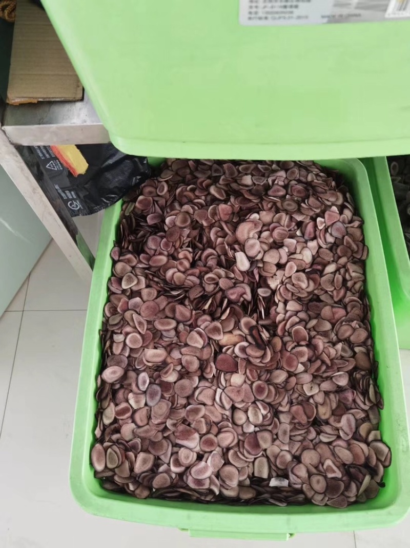 鹿角片鹿骨片鹿茸血片中药材泡酒料双阳鹿乡东北长春