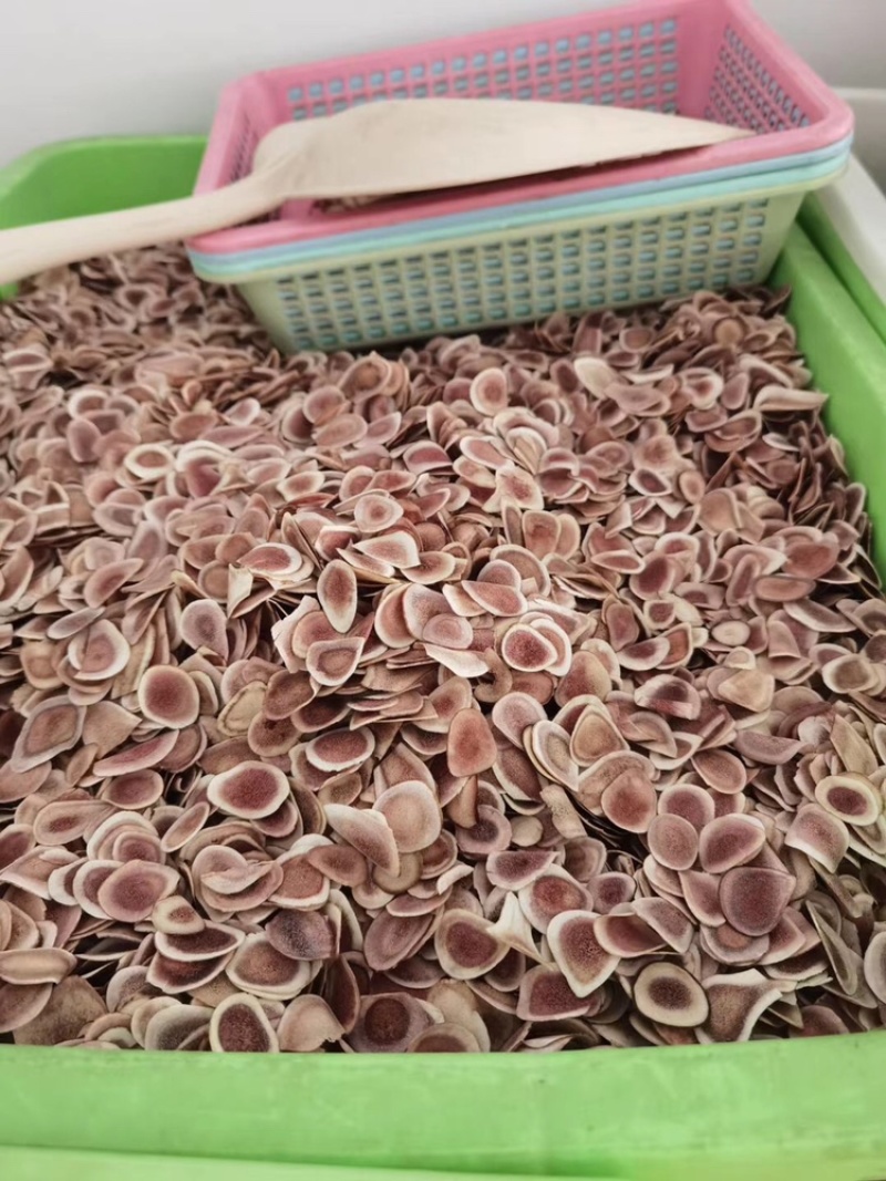 鹿角片鹿骨片鹿茸血片中药材泡酒料双阳鹿乡东北长春