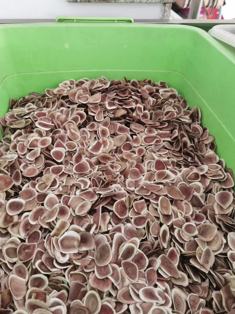 鹿角片鹿骨片鹿茸血片中药材泡酒料双阳鹿乡东北长春