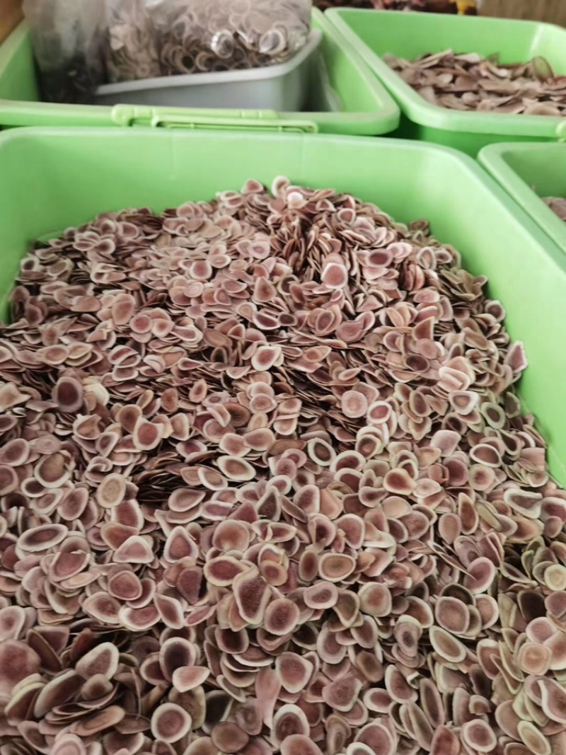 鹿角片鹿骨片鹿茸血片中药材泡酒料双阳鹿乡东北长春