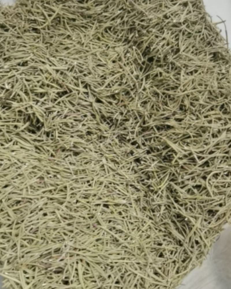 迷迭香干叶/可食用/药用