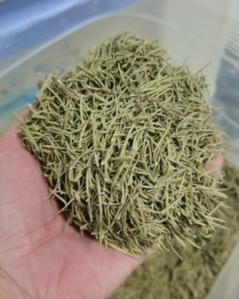 迷迭香干叶/可食用/药用