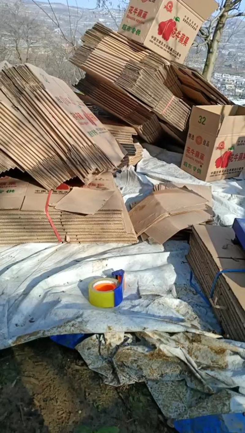 【品质推荐】甘肃高山地花牛苹果冷库货货源充足价格便宜