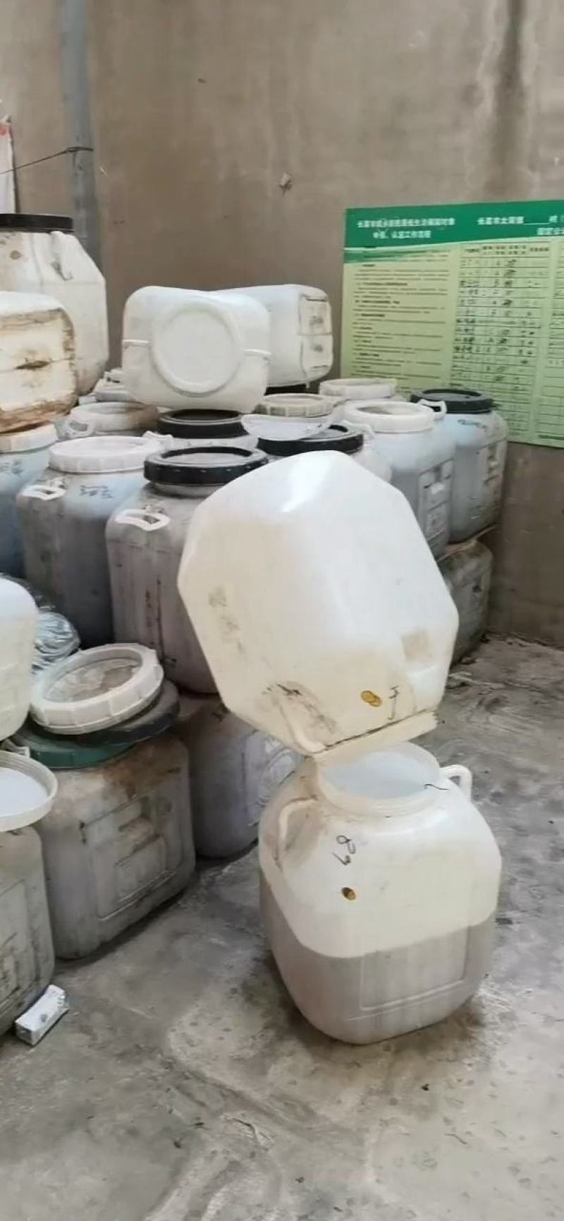 2025油菜蜜蜂场直供大量现货批发