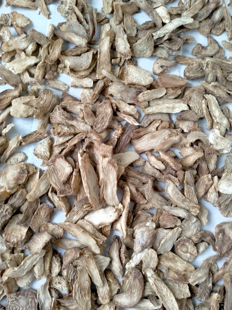 中药材/中药根茎类/肉苁蓉/阿拉善肉苁蓉鲜干片，整根条子