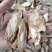 中药材/中药根茎类/肉苁蓉/阿拉善肉苁蓉鲜干片，整根条子