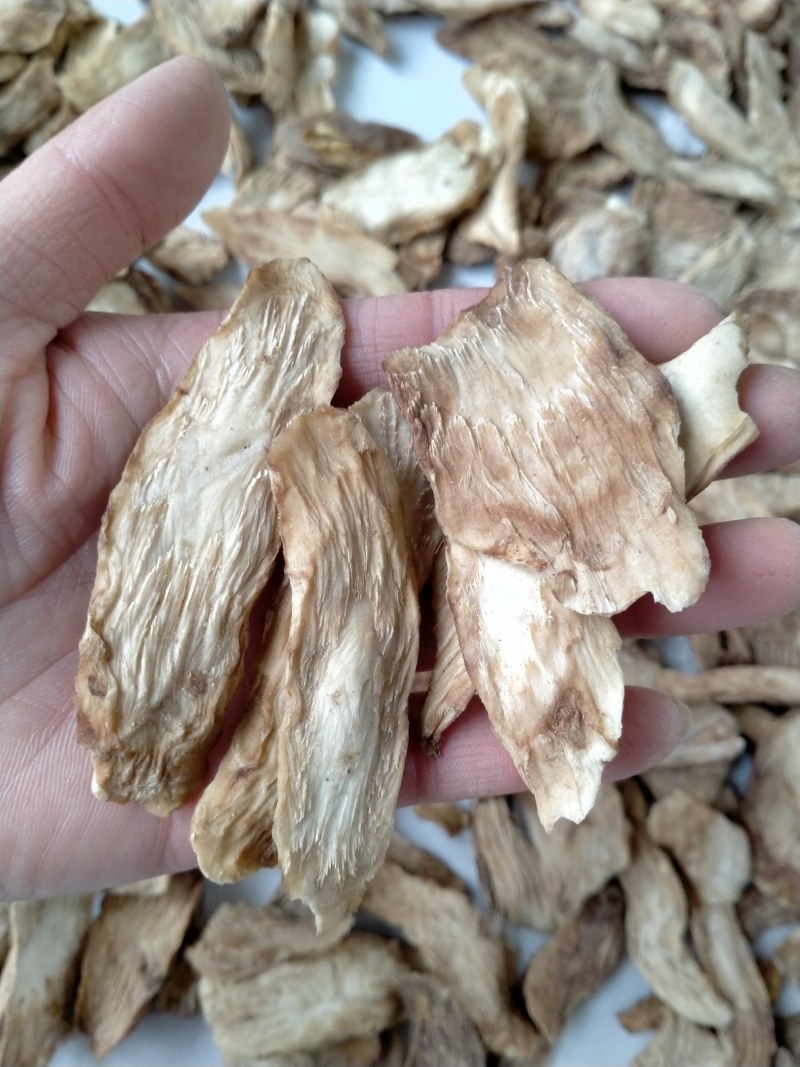 中药材/中药根茎类/肉苁蓉/阿拉善肉苁蓉鲜干片，整根条子