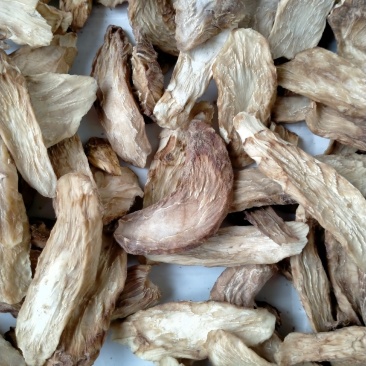 中药材/中药根茎类/肉苁蓉/阿拉善肉苁蓉鲜干片，整根条子