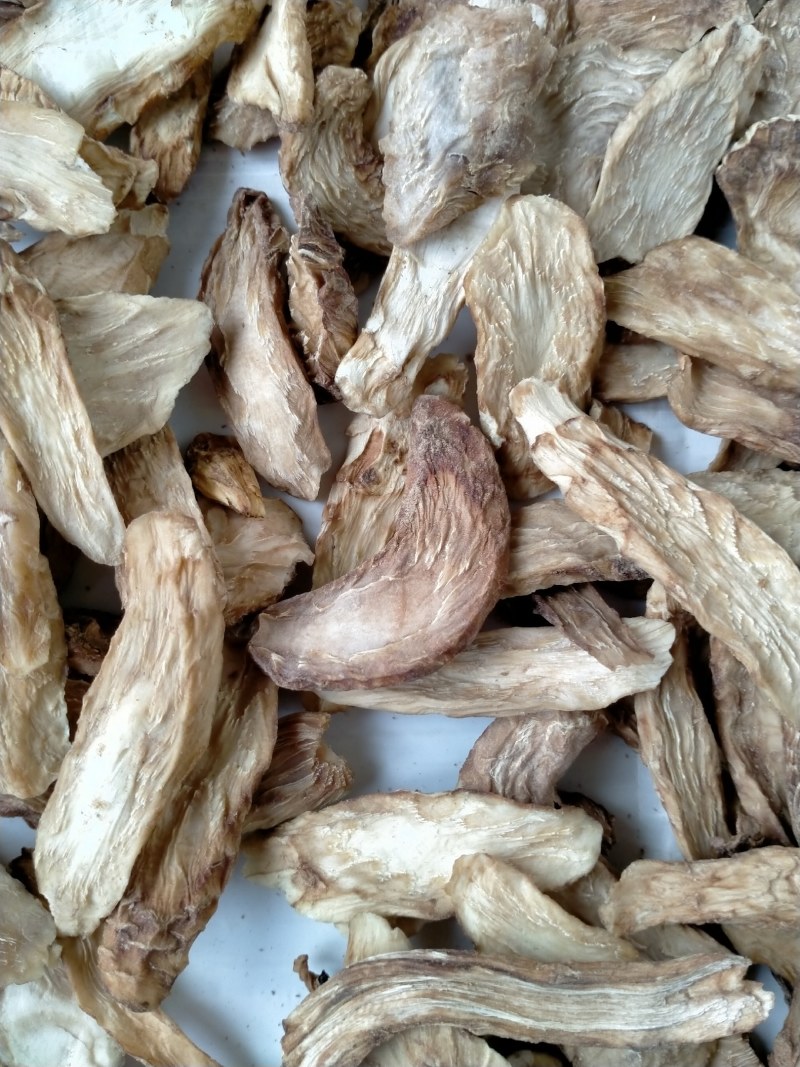 中药材/中药根茎类/肉苁蓉/阿拉善肉苁蓉鲜干片，整根条子