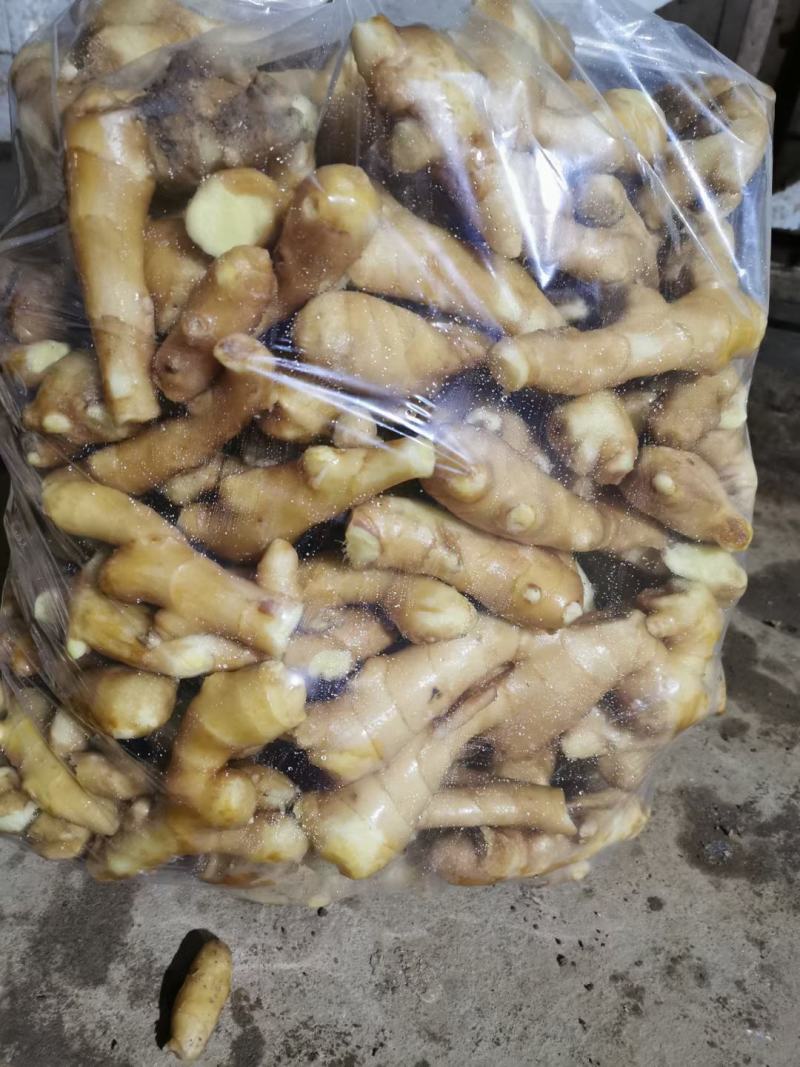 优质生姜种植基地产地直发可视频看货可发车质量好价格低