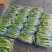有货正宗增城迟菜心精品30公分净重5斤货真价实