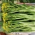 有货正宗增城迟菜心精品30公分净重5斤货真价实