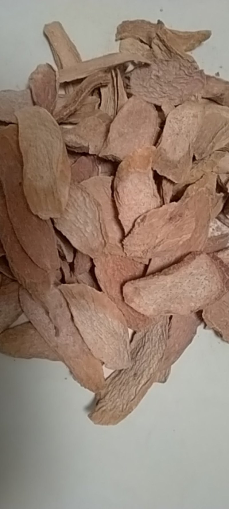 中药材/中药根茎类/锁阳/秋冬季锁阳片，长期有货