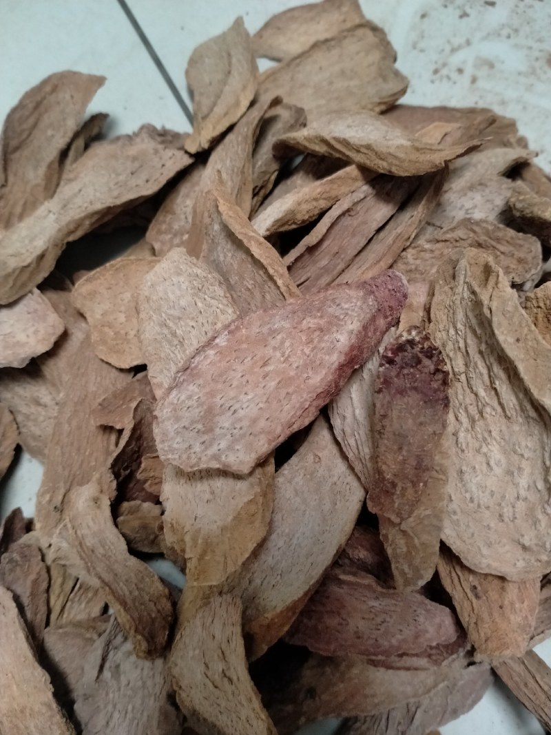 中药材/中药根茎类/锁阳/秋冬季锁阳片，长期有货